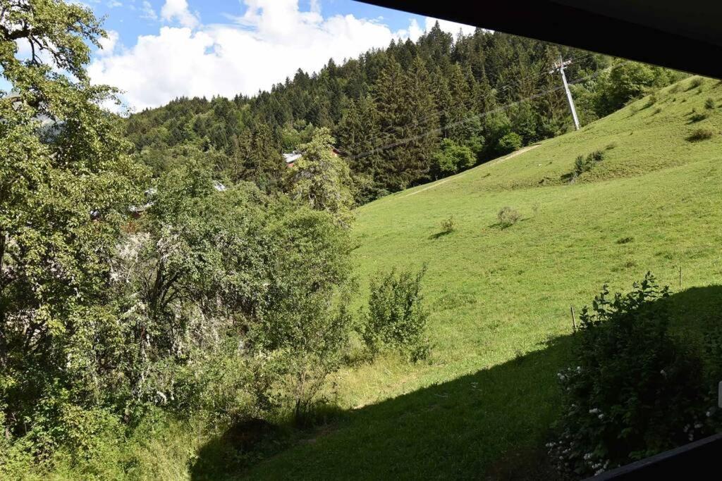 Les Cimes, Chaleureux Studio 4 Pers, 50M Du Telecabine, Vue Degagee Sur Les Pistes, Draps Non Compris Saint-Jean-dʼAulps エクステリア 写真
